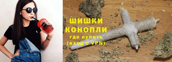 гашик Аркадак