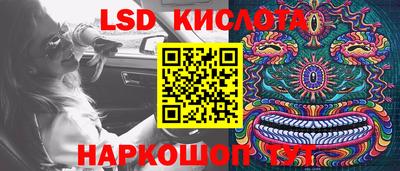 PSILOCYBIN Бугуруслан