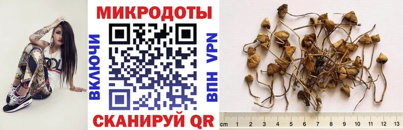 гидра сайт  Ишимбай  Галлюциногенные грибы Psilocybe 