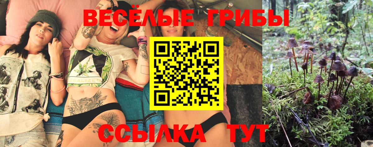 Ишимбай  Псилоцибиновые грибы Psilocybe  Галлюциногенные грибы ЛСД  Вход с VPN 