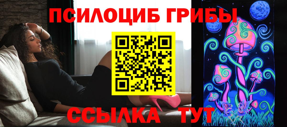 Галлюциногенные грибы Psilocybine cubensis Ишимбай